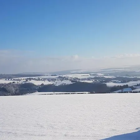 Vogelnest Naehe Oberwesel Mittelrhein *