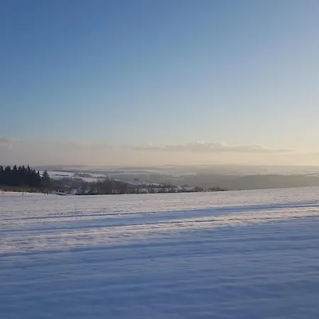 Vogelnest Naehe Oberwesel Mittelrhein Damscheid