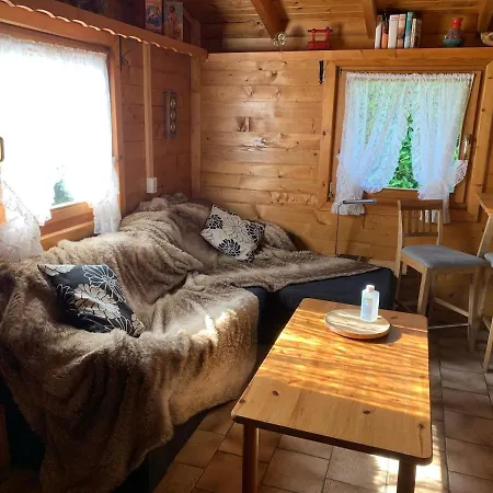 Vogelnest Naehe Oberwesel Mittelrhein Holiday home