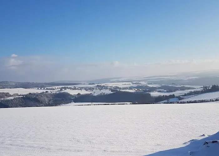 Vogelnest Naehe Oberwesel Mittelrhein *