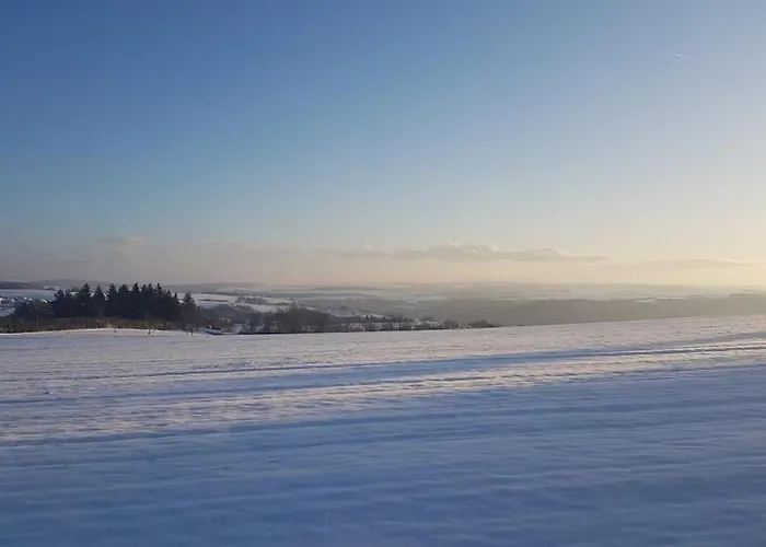 Vogelnest Naehe Oberwesel Mittelrhein Damscheid