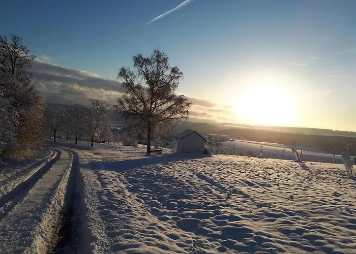 Vogelnest Naehe Oberwesel Mittelrhein Holiday home