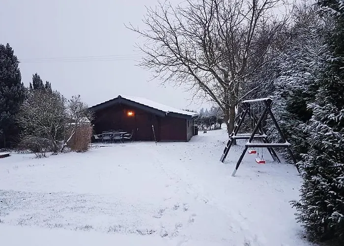 Vogelnest Naehe Oberwesel Mittelrhein *
